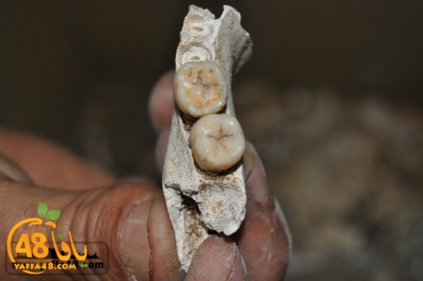 maqbara qeshleah (13).jpg